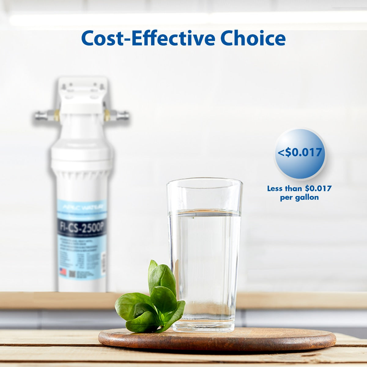 Premium Quality High Capacity Water Filtration System With Scale Inhibitor (CS-2500P)